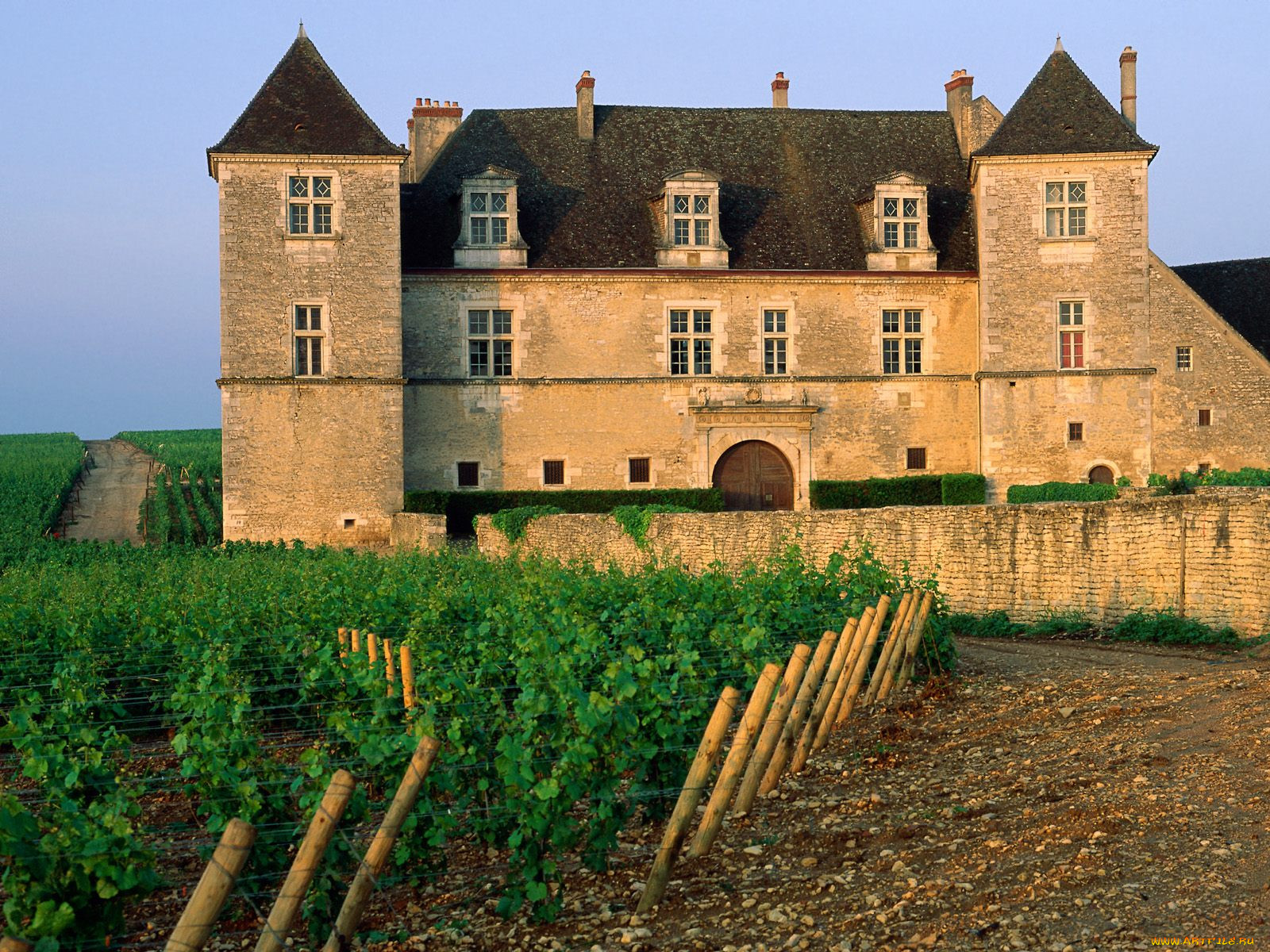 clos, de, vougeot, vineyard, france, , , , 